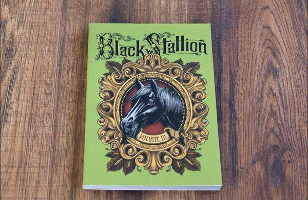 black stallion book