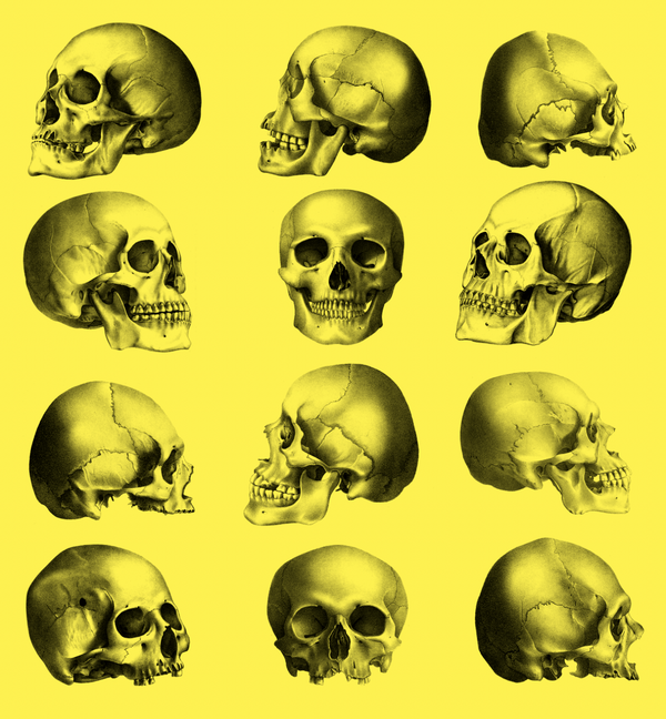 traditional flash skull