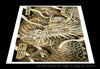 Brian Faulk prints 12"x16" Brian Faulk Print #06 12"x16" and 18"x24"